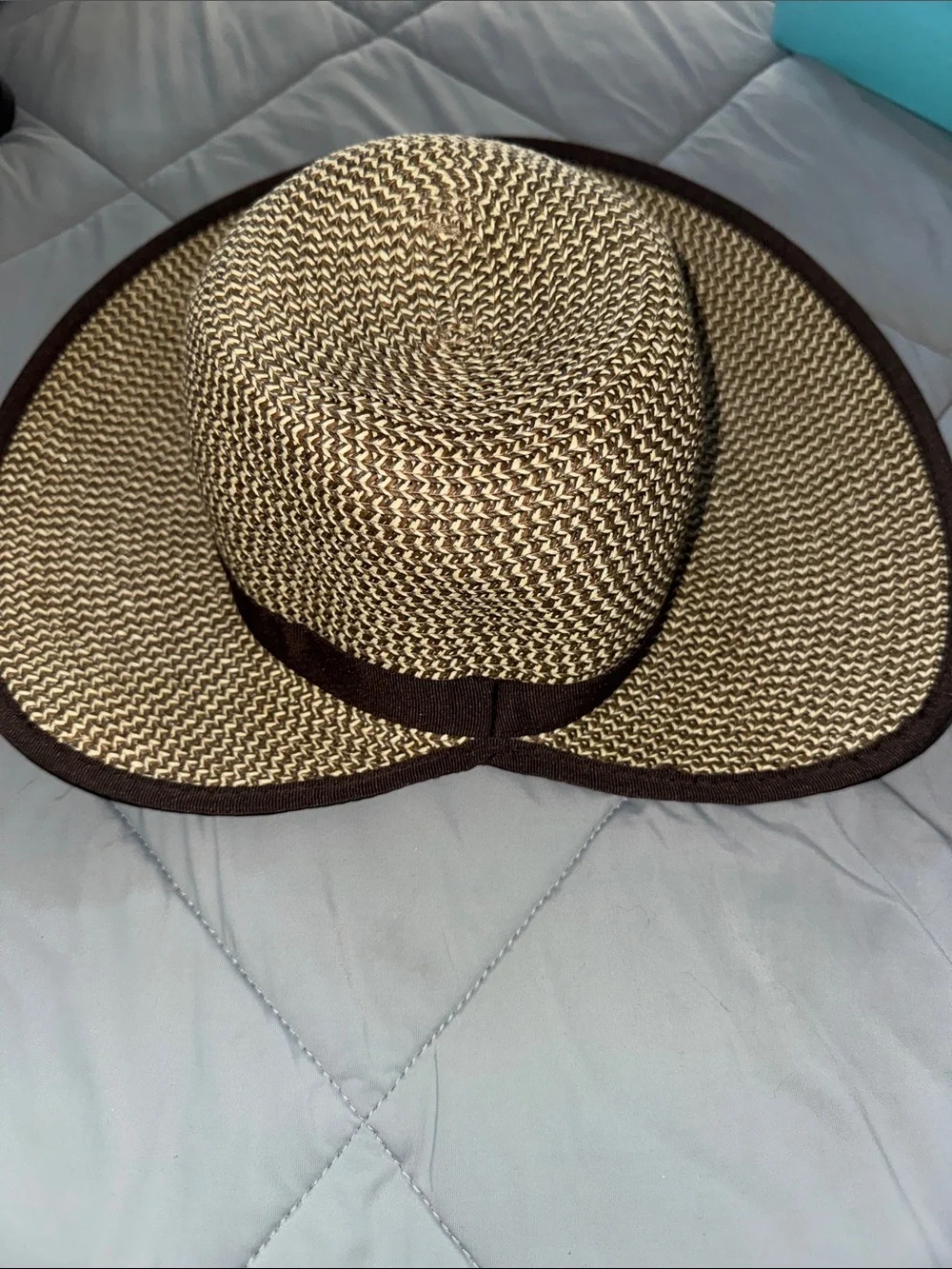 Wide Brim Straw Sun Hat in Natural and Dark Brown Trim